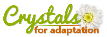 Crystals for Adaptation