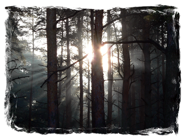 Crystals for Awakening