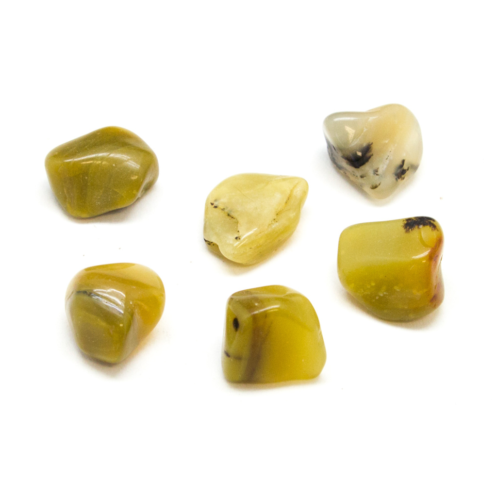 Olive Opal Tumbled Stone Set Medium Crystal Vaults