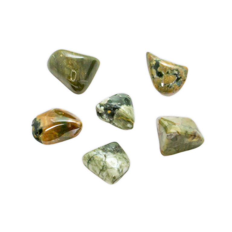 Rainforest Rhyolite Tumbled Set Extra Small Crystal Vaults