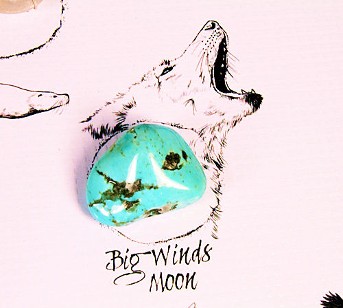 Big Winds Moon with Crystal on Medicine Wheel