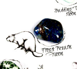 Frogs Return Moon Crystal on the Medicine Wheel