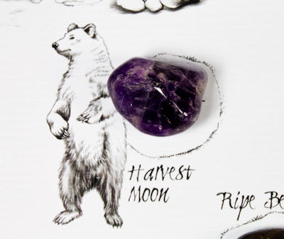 Harvest Moon Crystal on Medicine Wheel