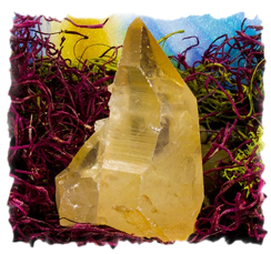 Lemurian Seed