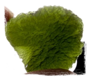 Moldavite