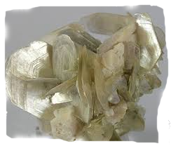 Muscovite