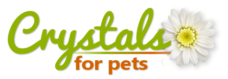 Crystals for Pets