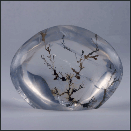 Dendritic Opal Aura Dendritic Agate Crystal Palm