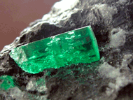 wood energy green crystal