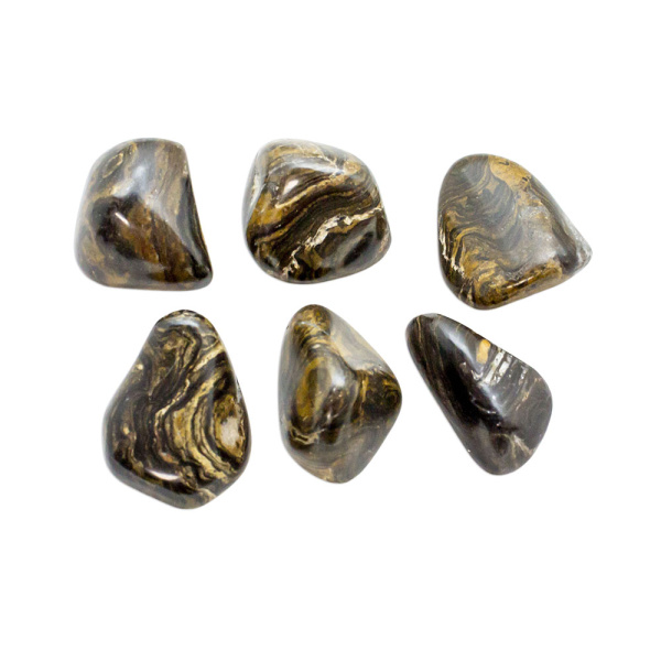 Stromatolite Tumbled Set (M) - Crystal Vaults